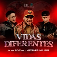 Vidas Diferentes - Single - A La Brava & Lorenzo Mendez