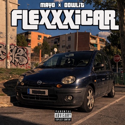 FLEXXXICAR - Single