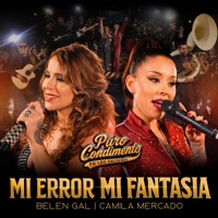 Mi Error Mi Fantasía