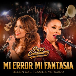 Mi Error Mi Fantasía