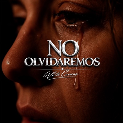 No olvidaremos - Single