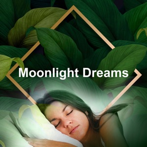Moonlight Dreams