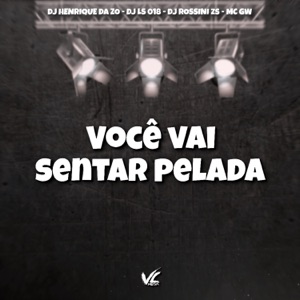 Você Vai Sentar Pelada (feat. DJ LS 018)