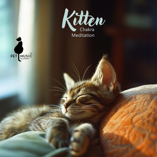 Kitten Chakra Meditation: Reiki Healing for Your Cat