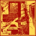 The Electric Nature - Plastic Mind