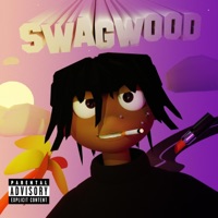 SWAGWOOD - pluglip