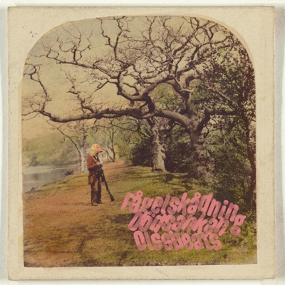 Fågelskådning (feat. Olss Beats) - EP