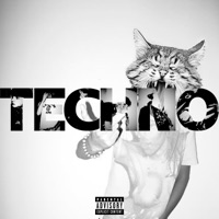 techno (feat. BiggieB & Scarfly) - Single - Saggin Boys