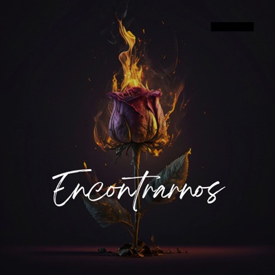 Encontrarnos (feat. ZELL & Shewak) - Single