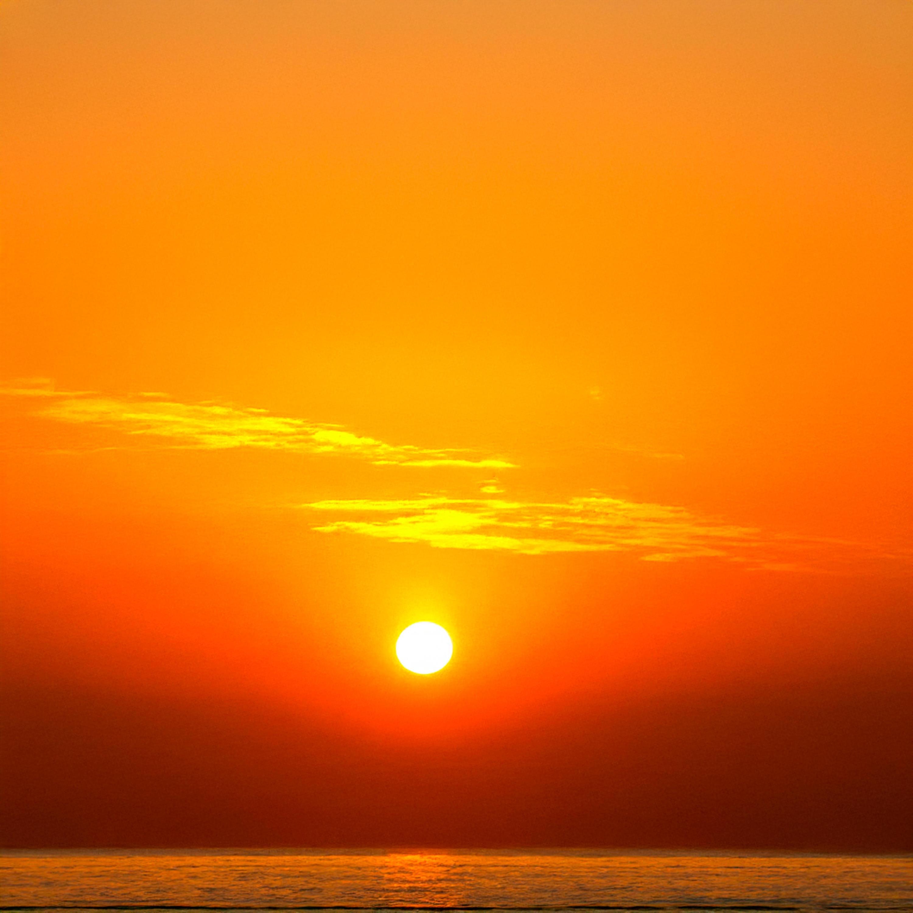 We Rise Strong - Single