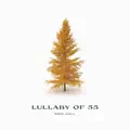 Lullaby of 55