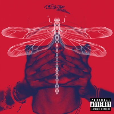 LIBÉLULA (feat. Fula Fisherman) - Single