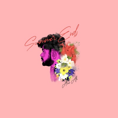 summer ends (feat. AliSoomroMusic) - Single