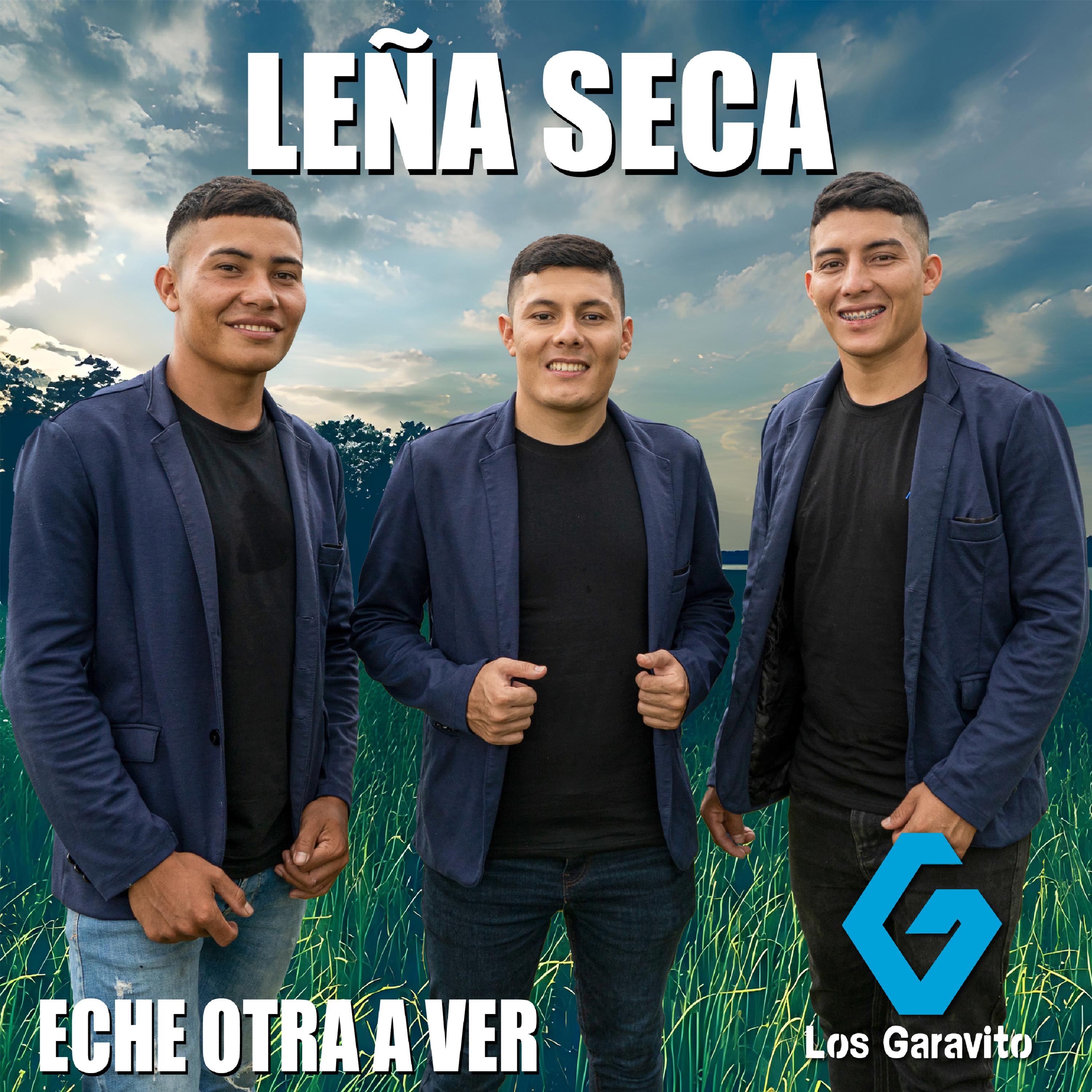Leña Seca - Single