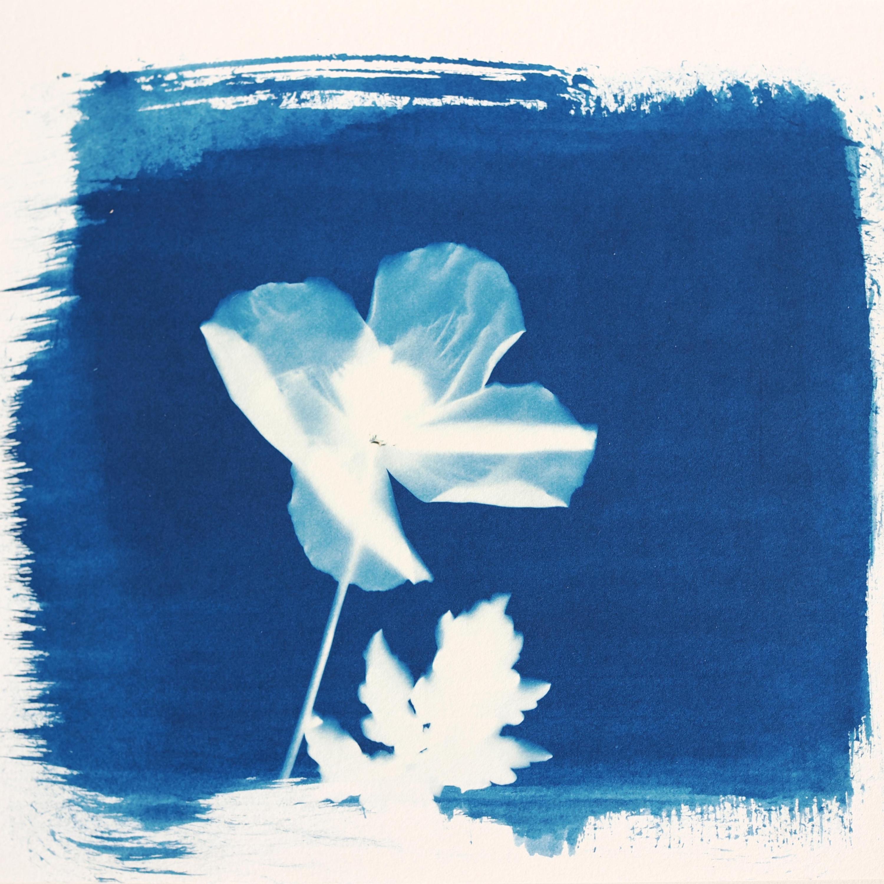 Spring Hands - Single