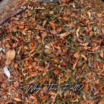 Why Thi$ Fall? - Single