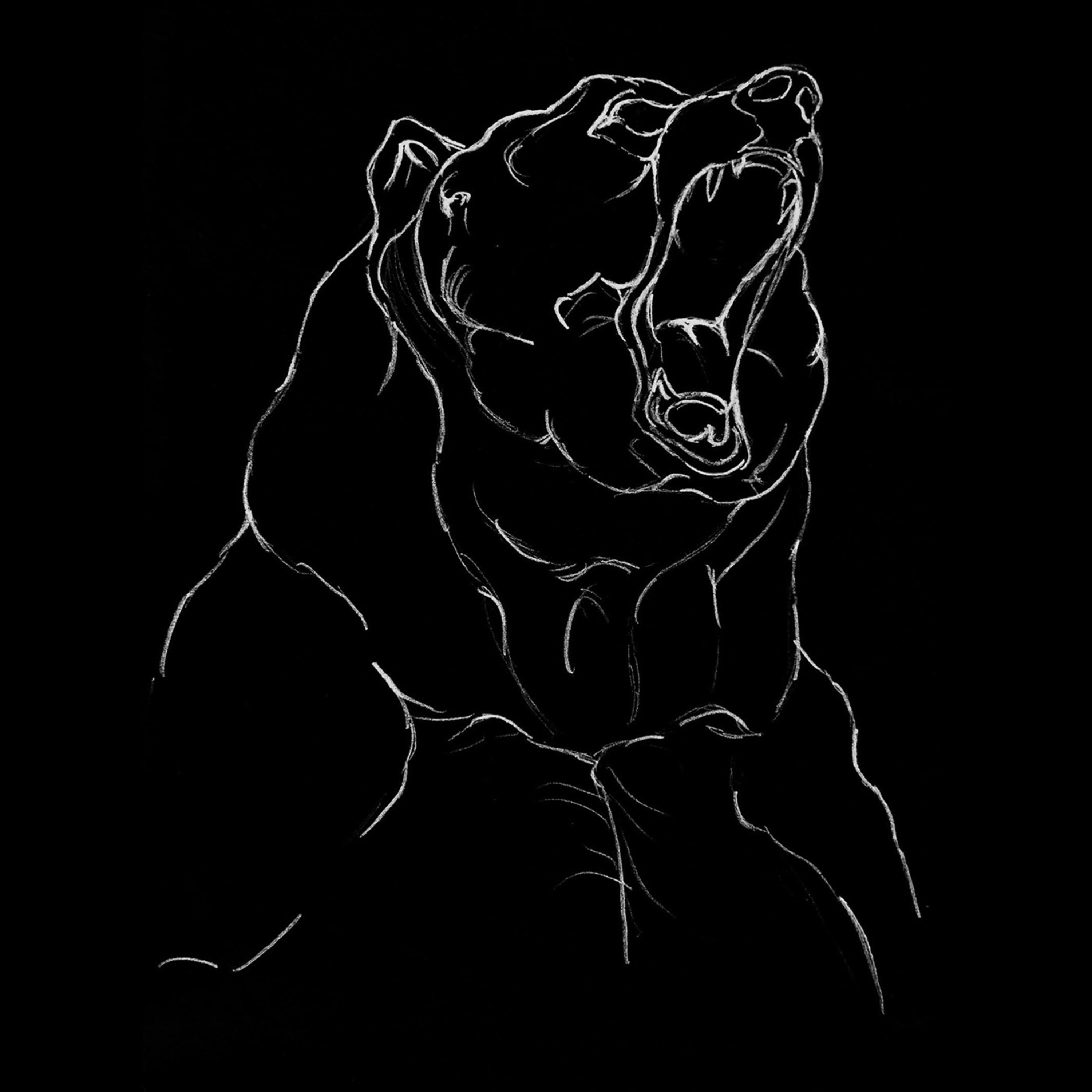 Meeting with a Bear - EP