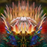 Atara - Single - Iyakuh & Lo.Renzo