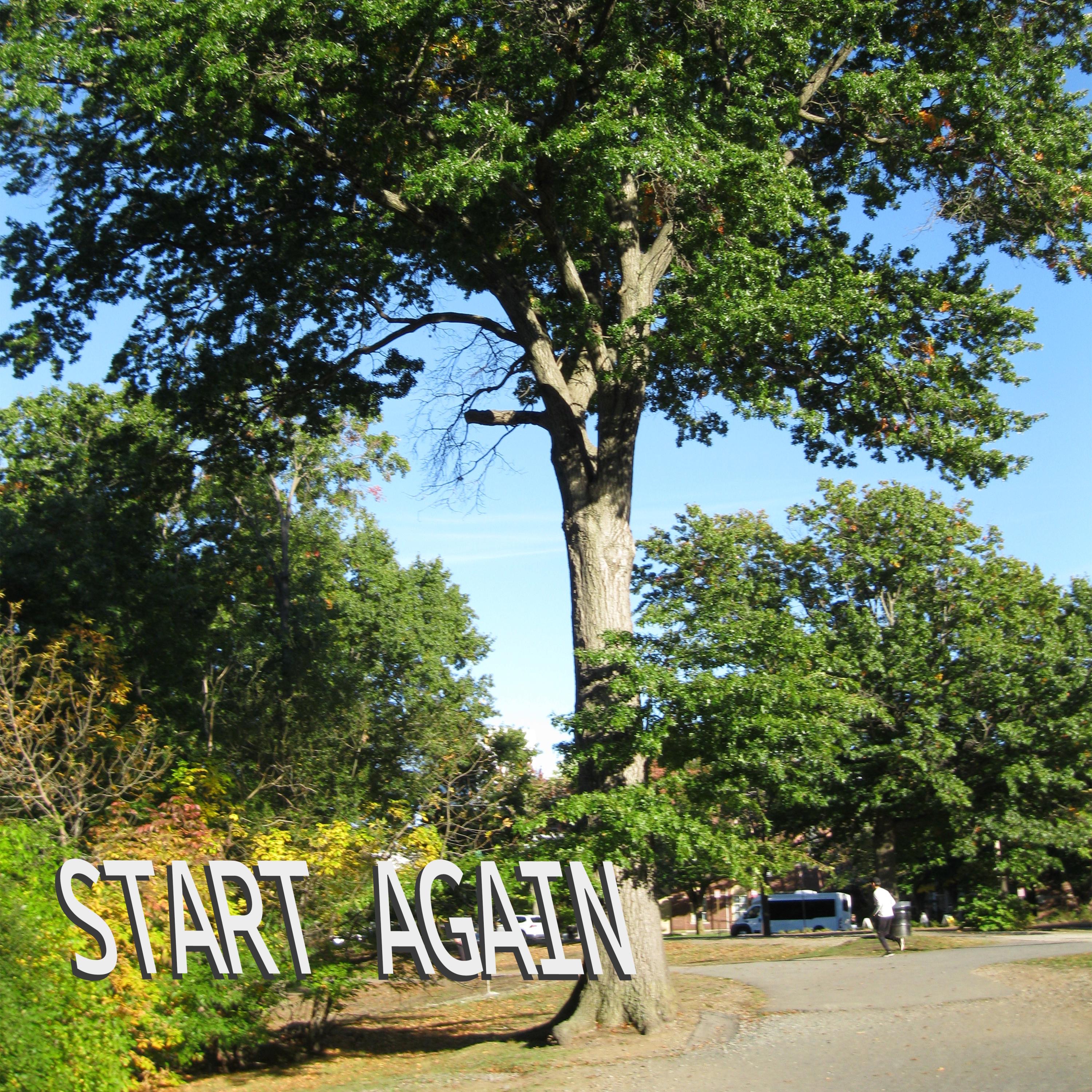 The Apothecary - Business Stench