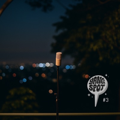 Bag Birkin [Yang Spot #3] - Single
