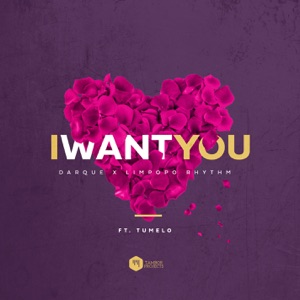 I Want You (feat. Tumelo) - Single