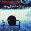 Icon Daylight Fading (Part 2) - Single