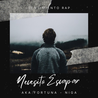 Necesito Escapar (feat. Niga) - Single