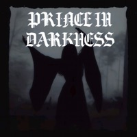 Prince in Darkness (feat. efesnipit & SLOOPERMAN) - NeWistra