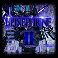 EPINEPHRINE 2 (A UNDERGROUND WORLDWIDE HIP HOP COMPILATION VOL. 2) - NUKESMURTHA