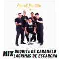 Lagrimas de Escarcha