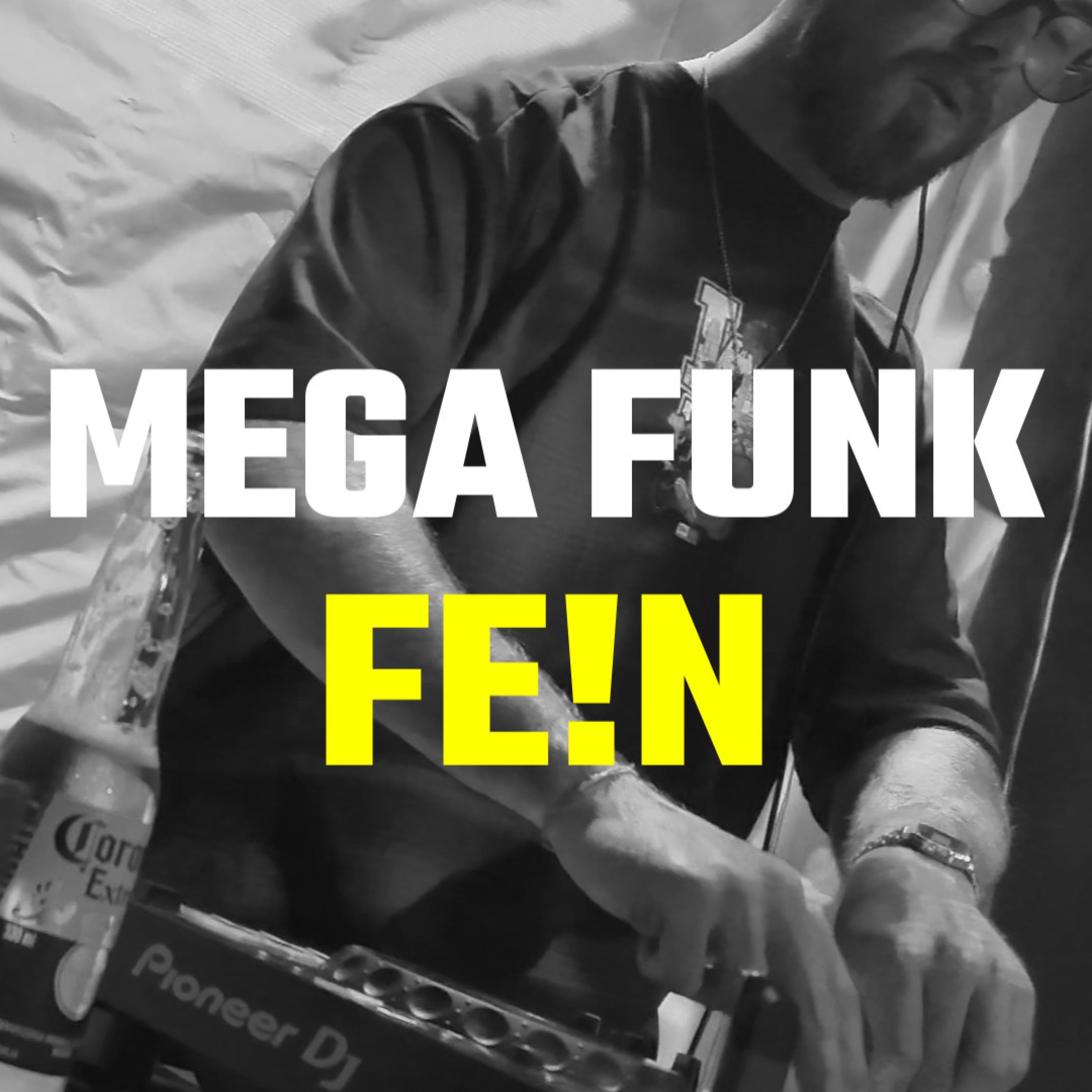 MEGA FUNK FE!N - Single