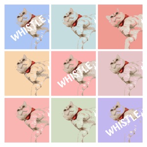 Whistle