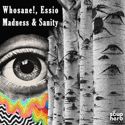 Madness & Sanity - EP