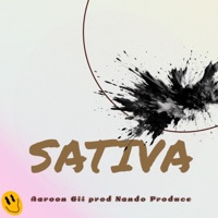 Sativa (feat. Nando produce) - Single - Aaroon Gii