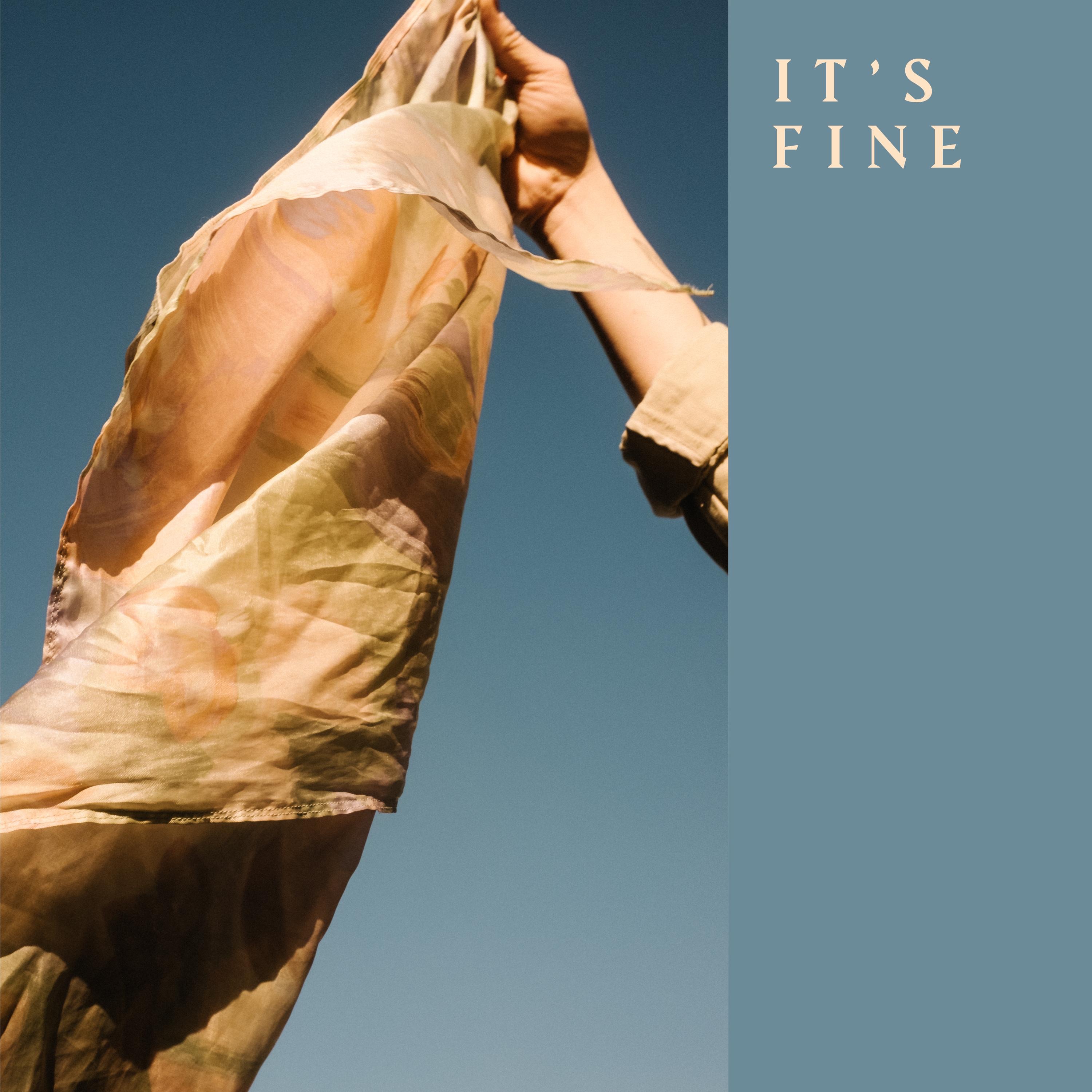 It's Fine - Single