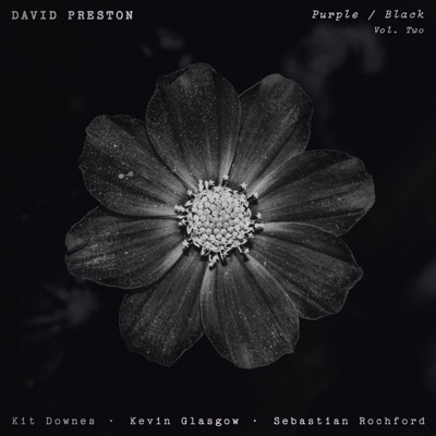 Purple / Black (Vol. 2) [feat. Kit Downes, Seb Rochford & Kevin Glasgow]