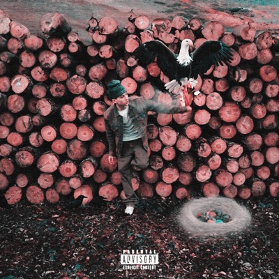 Diferentes Emociones - Single