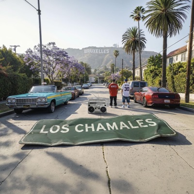 Los Chamales (feat. Noon & Dj Dysfunkshunal) - Single