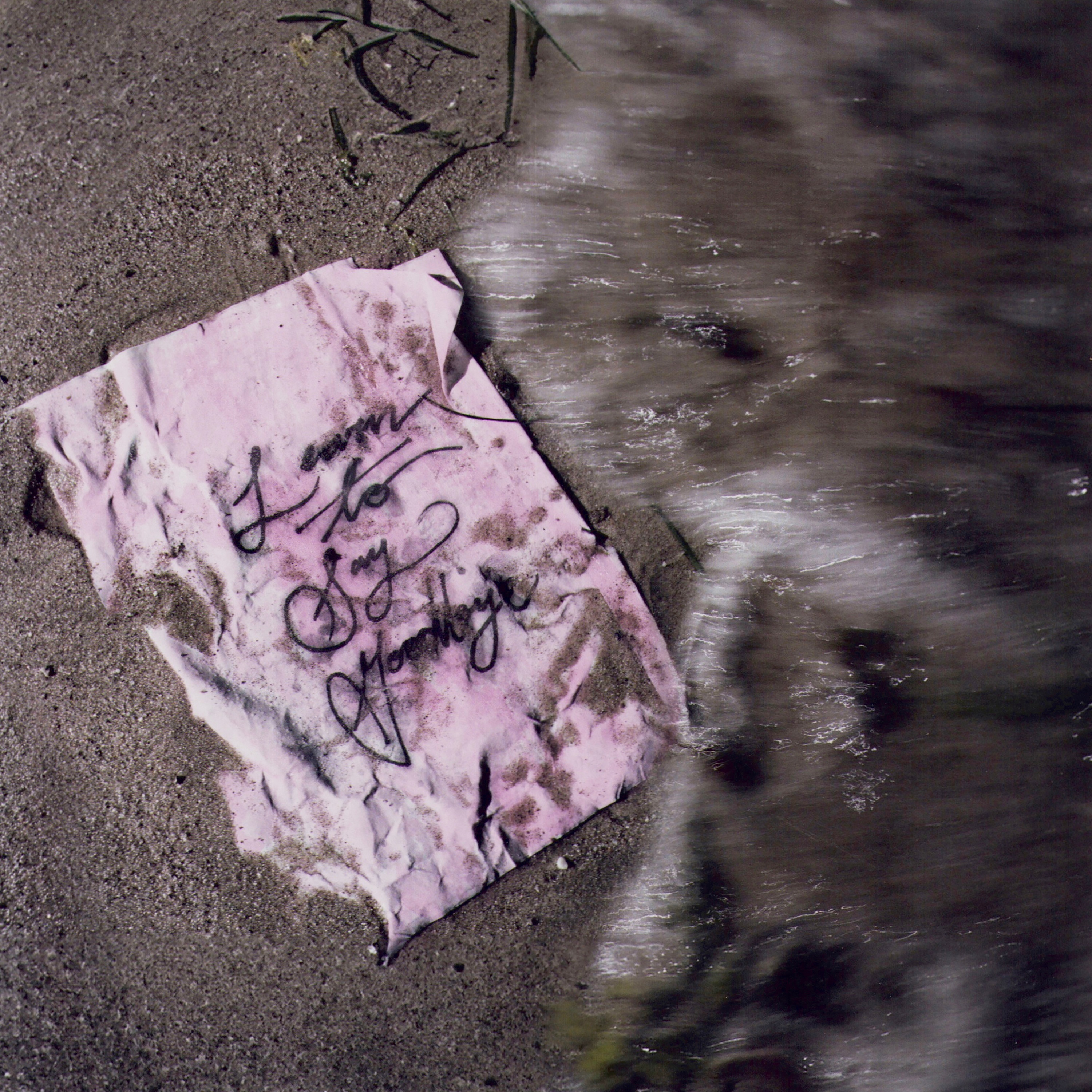 Learn to Say Goodbye - Single