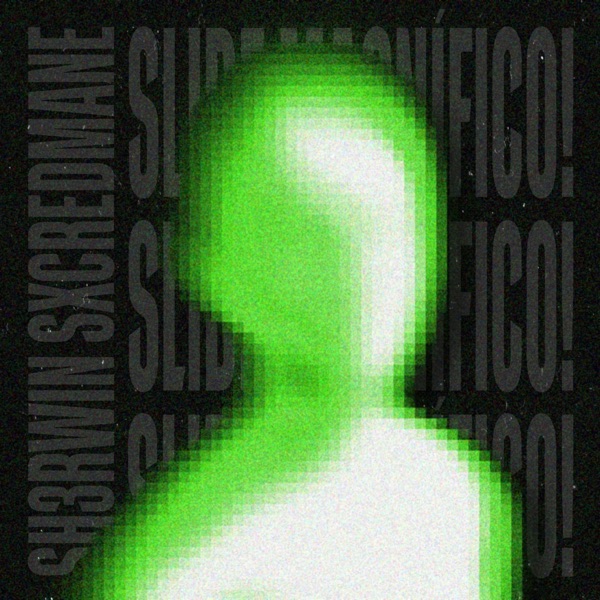 SLIDE MAGNÍFICO! - Single