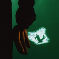 Z opic - Single - Lil Fault