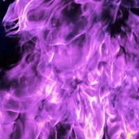 Rhea Ripley - Single - Lonely Playboy