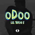 Odoo