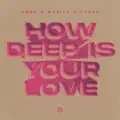 How Deep Is Your Love