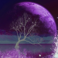 Mad World - Single - Kafetti