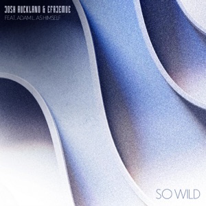 So Wild (feat. Adam L. As Himself) - Single