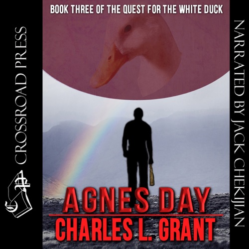 Agnes Day: Book Three of the Quest for the White Duck (Unabridged) cover