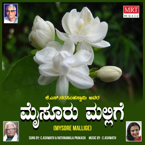 Mysore Mallige