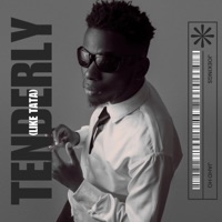 Tenderly - Single - JoeKings & JAHd HQ