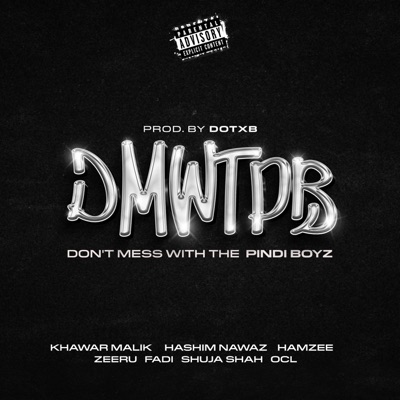 DMWTPB (feat. Fadi, OCL, Khawar Malik, Hamzee, Hashim Nawaz, Zeeru, Shuja Shah & dotxb) - Single